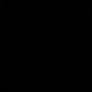 Meet your Posher, Daisy